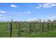 A fenced dog park offers separate, secure areas for large and small dogs at 5133 Forget Me Not Ave, Lake Hamilton, FL 33851