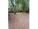 Backyard with wooden swing set surrounded by trees and a leaf-covered ground at 5429 Vanderlin St, Orlando, FL 32810