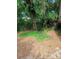 Backyard featuring privacy fence at 5429 Vanderlin St, Orlando, FL 32810