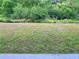 Exterior view of the well maintained backyard with fresh green grass at 2960 Boating Blvd, Kissimmee, FL 34746