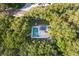 Overhead view features backyard pool and lush landscaping at 1839 Cranberry Isles Way, Apopka, FL 32712