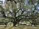 Large oak trees with hanging moss create a peaceful atmosphere in this idyllic outdoor community space at 211 Crown Oaks Way, Longwood, FL 32779