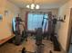 Home gym complete with workout equipment providing convenience for fitness enthusiasts at 31517 Broadwater Ave, Leesburg, FL 34748