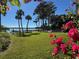 Lush green backyard overlooking a serene lake, accentuated with vibrant flowers and palm trees at 690 Osceola Ave # 405, Winter Park, FL 32789