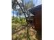 Lush backyard with mature trees and a chain link fence at 507 Cloudcroft Dr, Deltona, FL 32738