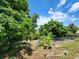 Lush backyard with mature trees, a chain-link fence, and ample space for outdoor activities and relaxation at 5523 Westview Dr, Orlando, FL 32810