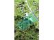 Aerial view of property lot and surrounding area at 7612 Glen Meadow Dr, Lakeland, FL 33810