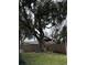 Large shade tree in the backyard at 2062 Katie Ct, Winter Haven, FL 33884