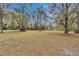 Spacious, partially cleared lot dotted with mature trees, providing a serene and private setting for building or recreation at 7929 Chase Rd, Lakeland, FL 33810