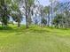 Spacious, lush backyard with mature trees, offering plenty of room for outdoor activities and privacy at 1040 Timbers Dr, Fort Meade, FL 33841