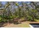 Secluded backyard with mature trees, and lush vegetation creating a private, natural oasis at 1131 Country Oaks Blvd, Lake Wales, FL 33898