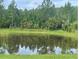 Scenic view of a tranquil pond reflecting the lush greenery surrounding the property at 1414 Fox Squirrel Dr, Davenport, FL 33897