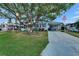 Charming home with birdhouses in a large tree, American flag and spacious front yard at 1575 Longbow Dr, Lakeland, FL 33810