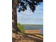 Scenic lake view framed by a mature tree, showing the natural beauty of the waterfront property at 294 Winter Ridge Blvd # 294, Winter Haven, FL 33881