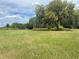 Grassy land with mature trees offering shade and natural beauty at 4151 Boggy Creek Rd, Kissimmee, FL 34744