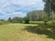 Picturesque pond surrounded by lush foliage, with an open grass area at 4151 Boggy Creek Rd, Kissimmee, FL 34744