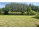 Scenic pond surrounded by lush greenery, offering a tranquil setting at 4151 Boggy Creek Rd, Kissimmee, FL 34744