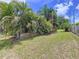 Lush backyard featuring verdant grass and abundant tropical palm trees for a private outdoor oasis at 4966 Foxrun Ln, Lakeland, FL 33813