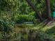 Picturesque water feature surrounded by trees and lush greenery, creating a serene and natural setting at 5427 Orange Valley Dr, Lakeland, FL 33813