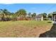 Large backyard with a shed surrounded by a fence at 733 S Clayton Ave, Lakeland, FL 33801
