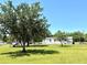 Picturesque yard with large trees, green grass, and a charming white house on a sunny day at 9625 Moore Rd, Lakeland, FL 33809