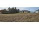 Overgrown backyard with a view of the home's back at 1807 Don Pl, Poinciana, FL 34759
