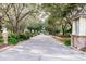 Brick-paved road leading into the community with mature trees at 30120 Hackney Loop, Mount Dora, FL 32757