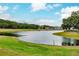 Serene lakefront view with lush landscaping and homes in background at 30120 Hackney Loop, Mount Dora, FL 32757