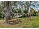 Community picnic area with tables and grills under shady trees at 30120 Hackney Loop, Mount Dora, FL 32757