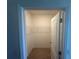 Walk-in closet includes carpet, white walls, and wire shelving for organized storage solutions at 999 Brooklet Dr, Davenport, FL 33837