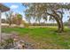 A spacious backyard featuring a large grassy area, mature trees with Spanish moss, and ample space for outdoor activities at 3800 Levins Rd, Mulberry, FL 33860
