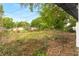 Green backyard with a mix of grass and wooded area at 760 S Park Ave, Winter Garden, FL 34787