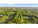 Lovely aerial view showcases the property's pool, green lawn, and proximity to a neighborhood surrounded by lush trees at 1915 Poinsettia Dr, Port Orange, FL 32128