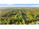 Expansive aerial view showing properties with lush surroundings, offering privacy and a connection to nature at 1915 Poinsettia Dr, Port Orange, FL 32128