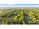 Aerial view of neighborhood with mature trees and lush vegetation at 1915 Poinsettia Dr, Port Orange, FL 32128