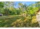 Backyard view with overgrown lawn at 1915 Poinsettia Dr, Port Orange, FL 32128