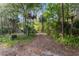 Long driveway leading to a home surrounded by a thicket of trees at 1915 Poinsettia Dr, Port Orange, FL 32128
