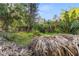 Overgrown foliage with a partial view of a brick house in the background at 1915 Poinsettia Dr, Port Orange, FL 32128