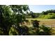 Serene pond view surrounded by mature trees and green space offering a private and picturesque setting at 925 Fenton Ln # 11, Lakeland, FL 33809