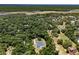 Areal shot of the property with screened pool surrounded by mature trees and lush vegetation at 5701 John Anderson Hwy, Flagler Beach, FL 32136