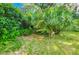 Close up view of the lush, green landscaping featuring various plants and ground cover at 1119 Indigo Rd, Ormond Beach, FL 32174