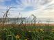 Seaside scenery showcases grassy dunes leading to a wooden pier, framed by a sunny sky at 50 Ocean Palm Villa S, Flagler Beach, FL 32136