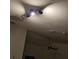 Image shows recessed lighting and ceiling fan at 6110 Everglades Dr, Port Orange, FL 32127