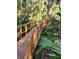 Wooden walkway through lush vegetation at 6110 Everglades Dr, Port Orange, FL 32127