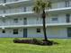 Sunrise Condominiums with well maintained landscape of shrubbery and palm tree at 2294 Ocean Shore Blvd # 1020, Ormond Beach, FL 32176
