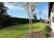 Private backyard with grassy area, hedge, and patio at 3242 Bailey Ann Dr, Ormond Beach, FL 32174