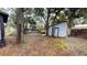 Large backyard with mature trees and detached shed at 141 Kingston Ave, Daytona Beach, FL 32114