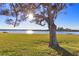 Scenic backyard view showcasing a mature tree and tranquil waterfront, perfect for enjoying nature's beauty at 66 Ocean Palm Villa S, Flagler Beach, FL 32136