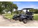 Two golf carts parked on paved path at 3238 Bailey Ann Dr, Ormond Beach, FL 32174