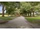 Tree-lined pathway through lush green landscape at 3238 Bailey Ann Dr, Ormond Beach, FL 32174
